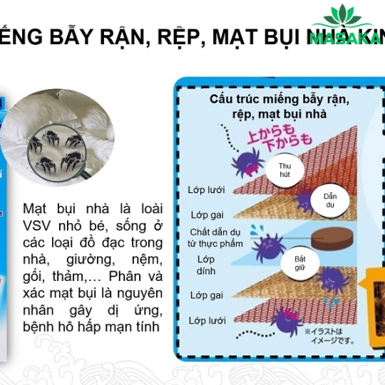 MIẾNG ĐẶT BẪY BỌ, RỆP KINCHO