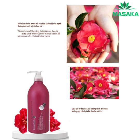 DẦU GỘI HOA TRÀ PHỤC HỒI TÓC HƯ TỔN SALON LINK (1000ML)